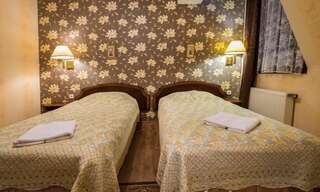 Отель Dwór Ostoia Rymanów Двухместный номер с 1 кроватью или 2 отдельными кроватями-51